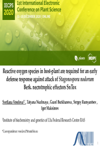 Veselova SV-Presentation-IECPS 2020.pdf