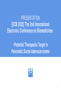 Presentation Slides.pdf
