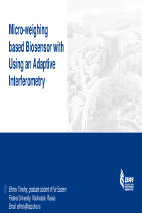 Efimov_Presentation.pdf