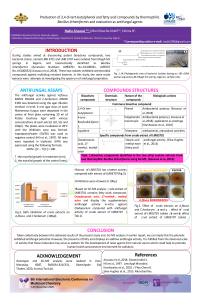 AISSAOUI Nadia Poster.pdf
