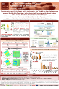 Poster_Flash_Presentaion_L. Teixeira et. al_ECA.pdf