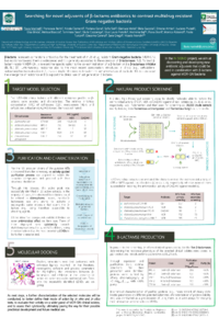 sciforum-166703_poster.pdf