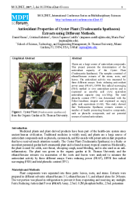 mol2net-03-MPina1.pdf