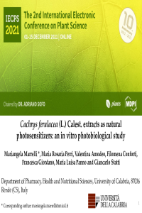 Marrelli et al. IECPS2021.pdf