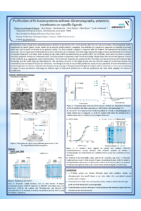 sciforum-106951.pdf