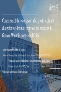 sciforum-063752 Presentation Slides.pdf