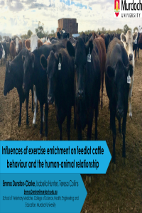 E.Dunston-Clarke Feedlot enrichment presentation.pdf