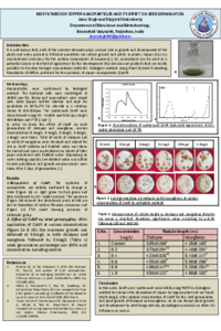 Poster_078657.pdf