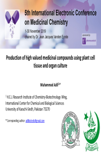 1.Electronic_Conference_on_Medicinal_Chemistry_PPT_Adil_file.pdf
