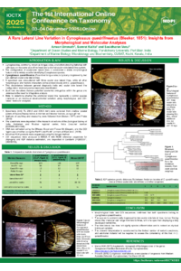 Ioct25Cynoglossus.pdf