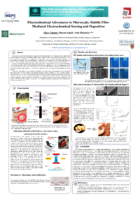 sciforum-080128. Poster. bubble .pdf