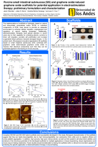 Poster_Nanomaterials.pdf