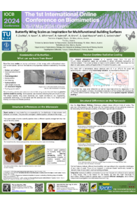 2024_ButterflyWingScales_Zischka_biomim_vfinal.pdf