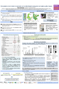 poster IOCTO_VF.pdf