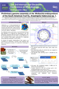 ECM2025-conte-final.pdf