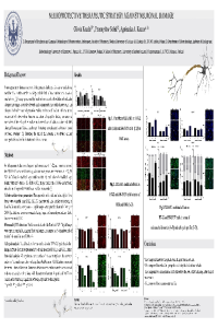 poster.pdf