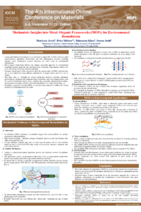 POSTER.pdf