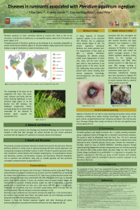poster_feto.pdf
