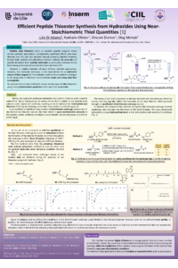 Efficient Peptide Thioester Synthesis from Hydrazides Using Near-Stoichiometric Thiol Quantities .pdf