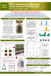 Poster_IECPS_Leonardo_Morini.pdf