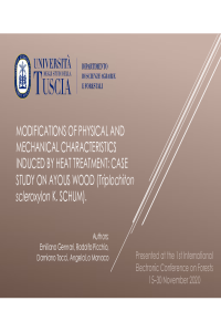 Ayous_proceeding_ppt_revision.pdf