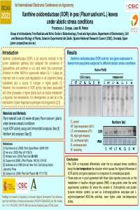 Corpas-Palma Poster_IECAG_2021.pdf