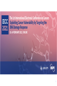 MDPI conference.pdf