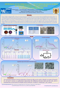 078419_poster ECSA-10_2023_correction.pdf