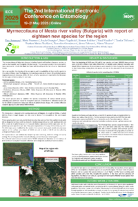 Mesta ants_20250516_18h.pdf