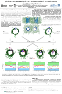 pH-dependent permeability of outer membrane protein G_ an in silico study - poster.pdf