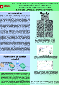 Poster.pdf