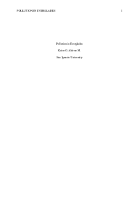 pollution.pdf