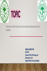 Sci forms presentation.pdf