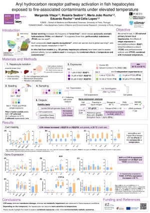 Poster_Sciforum-186263_Margarida_Vilaca.pdf
