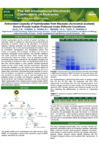 sciforum-097670-Caroline Woelffel Silva.pdf
