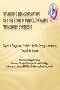 Stroganova presentation.pdf