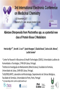 Pharmaceuticals_Electronic Med Chem_ PRijo 2019.pdf