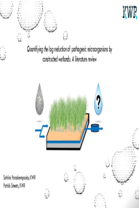 Presentation.pdf