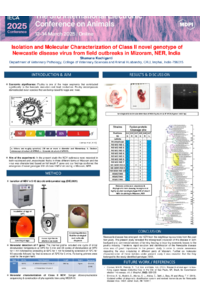 IECA 2025 poster (1).pdf