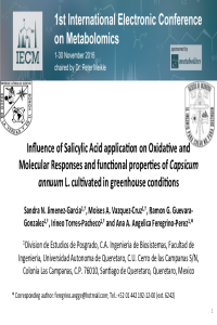 Presentacion Scifurum-Salicilico.pdf