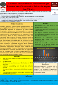 ECA 2023 poster.pdf