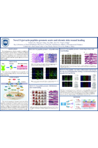 Novel Fejervarin peptides promote acute and chronic skin wound healing.pdf