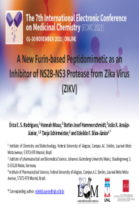 ECMC 2021_Silva-Junior.pdf