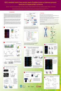 sciforum-042613.pdf