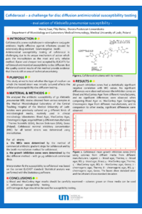 poster-pdf.pdf