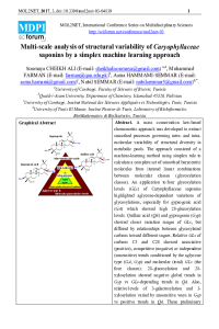 MOL2NET-2017-semmar.pdf