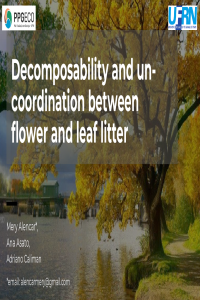 Mery Alencar et al. 2020. Decomposability and un-coordination between flower and leaf litter..pdf