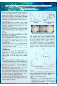 Poster.pdf