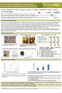 olive_Plants.pdf