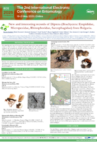 Diptera_VVa2.pdf